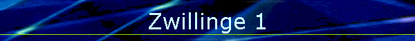 Zwillinge 1