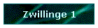 Zwillinge 1