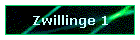 Zwillinge 1